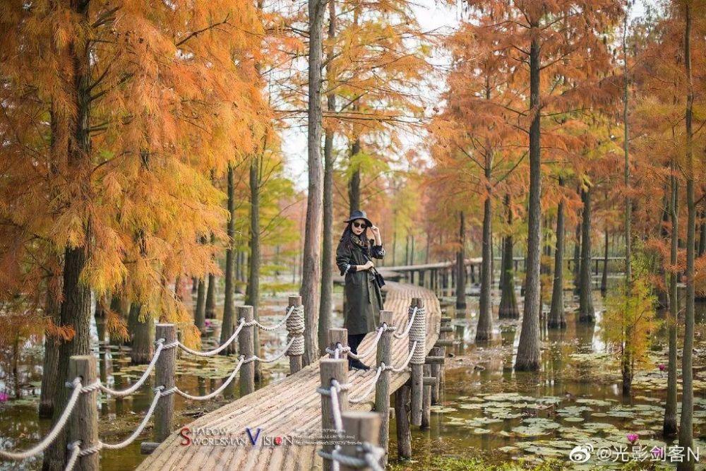 妖刀少女异闻录